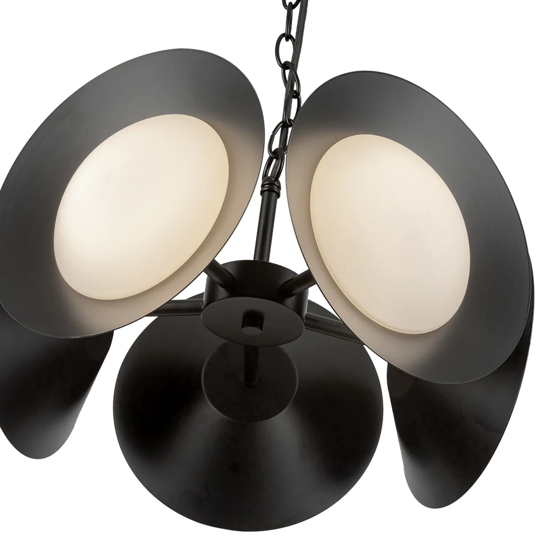 Cleo CH77916