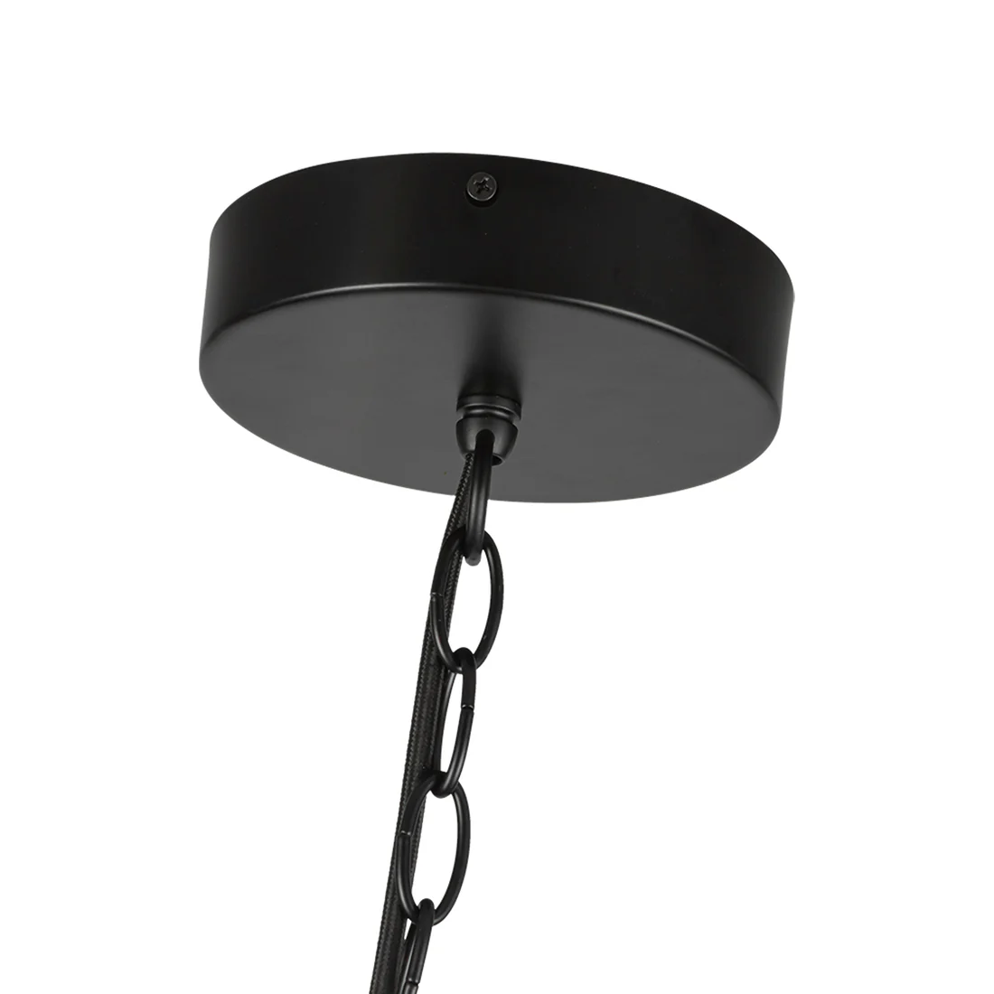 Cleo CH77916